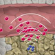 Illustration for article titled MITs New Nanoparticles Tag Team Cancer Cells